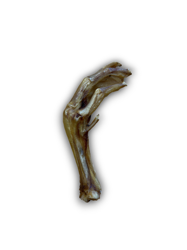 ANCO NATURALS GOOSE FEET