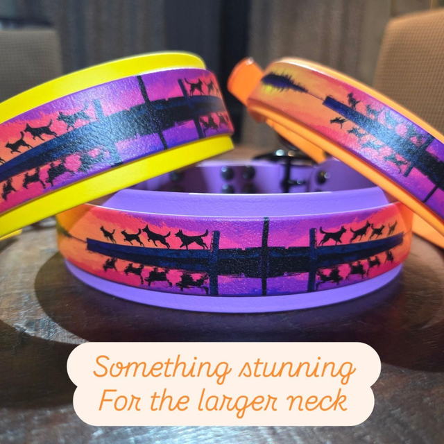 Sunset dock - orange 17-20ins x 25mm