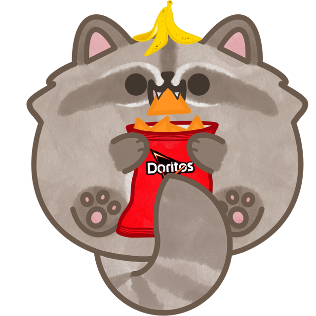 Raccoon
