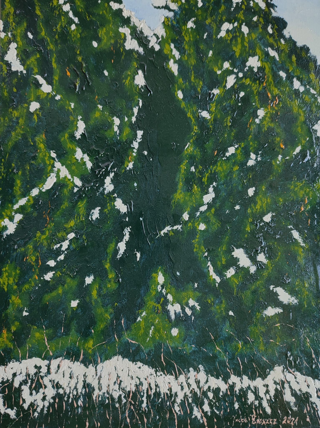 Śnieg, 40x30 olej płótno 2021