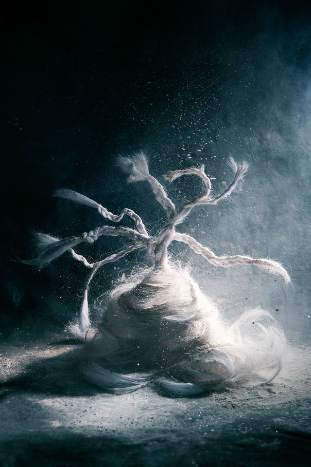 Tirage photo "Raiponce"