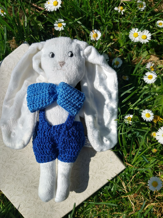 M. Lapin