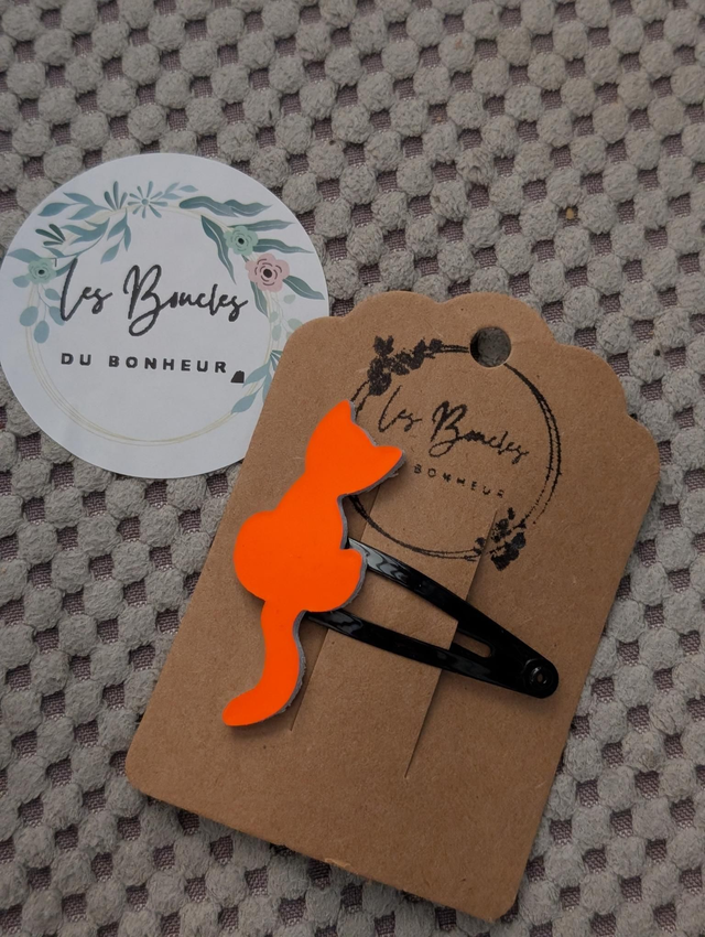 Barrette b069