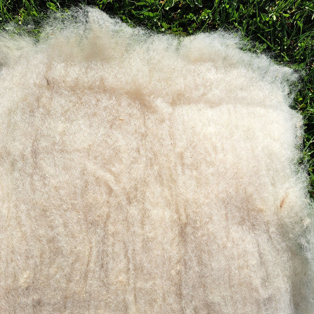 Karstavillalevy ahvenanmaanlammas, pehmeä n.50g