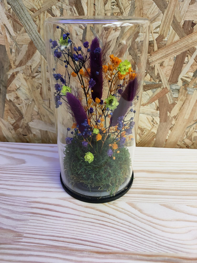 LJSDP_WEB0031 Bocal orange violet vert