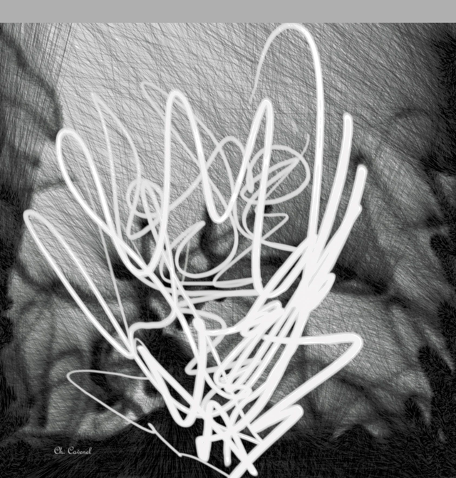 Voile "Vibrations" 100 × 100 cm