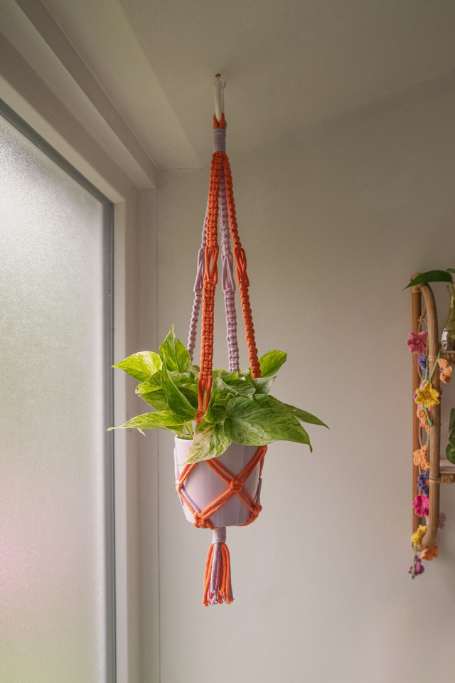 Dahlia 🧡 Suspension en macramé orange &amp; lila
