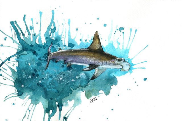 FineArt-Print - Spendenbild: Hammerhai