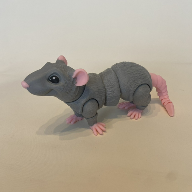 Rat