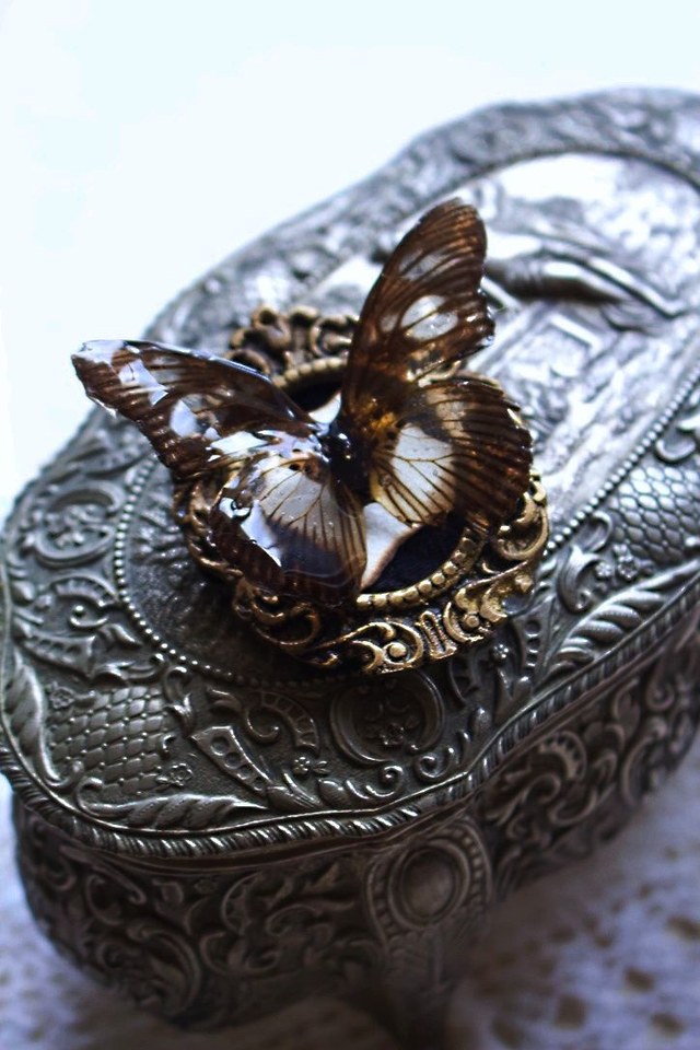 Médaillon papillon sous résine