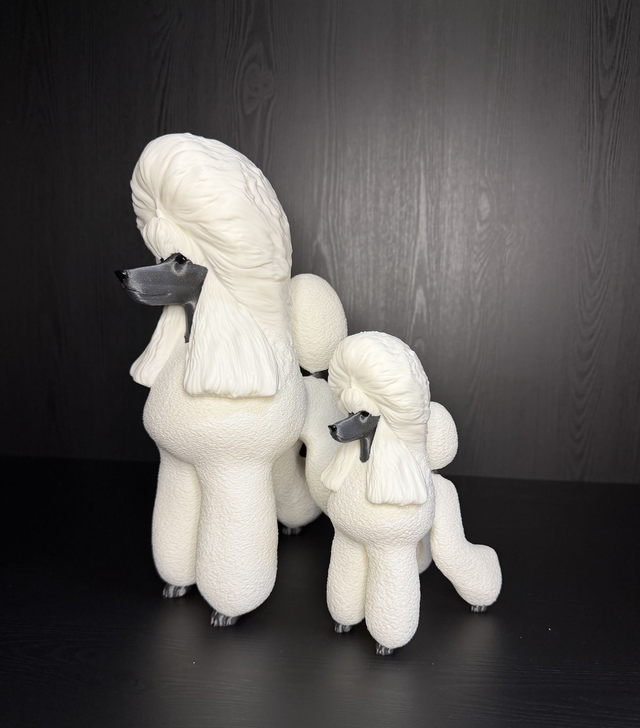 Poodle White - Puppy Clip
