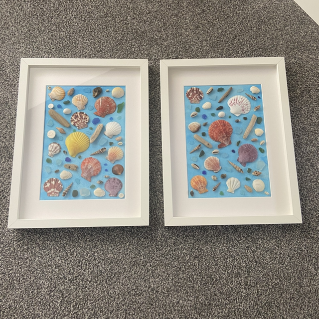 Handmade Coastal Seashell Shadow Box Frames (Set of 2)