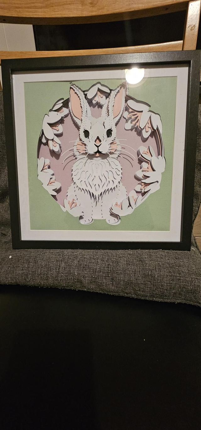 Rabbit box frame