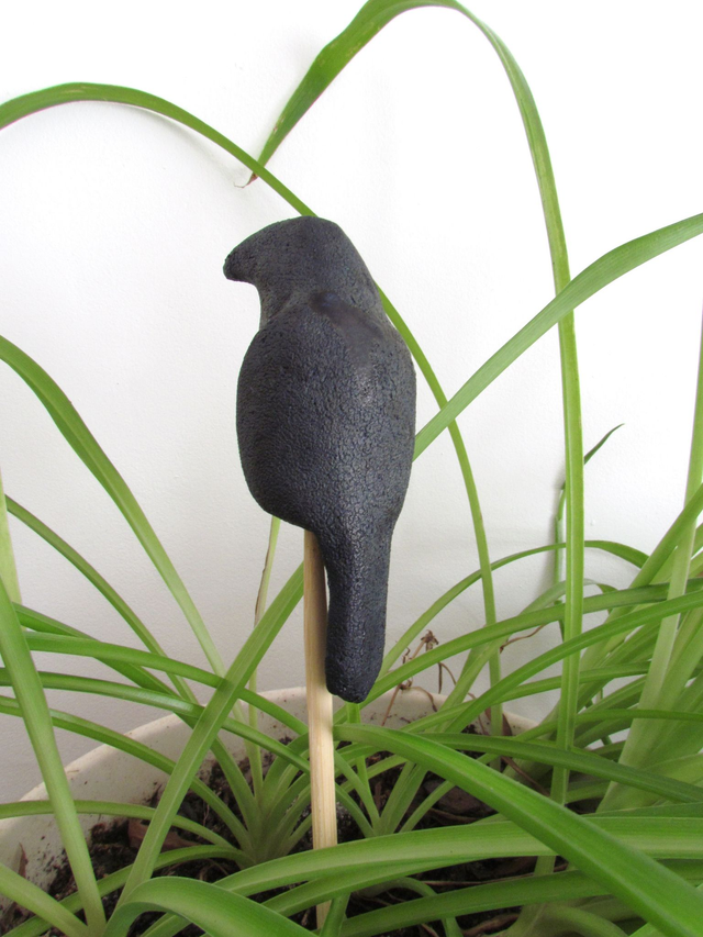 Genevieille la corneille doyenne