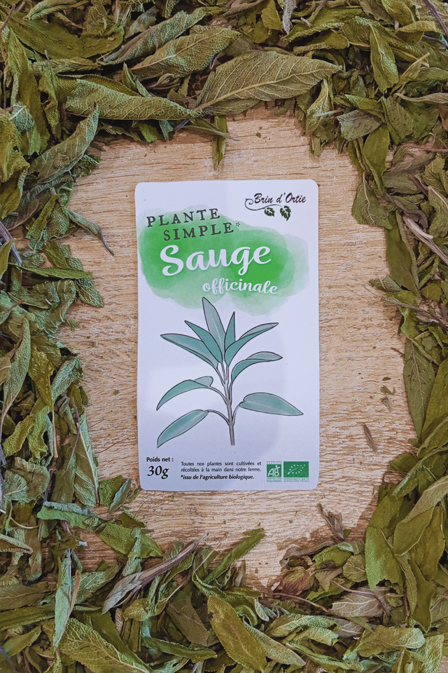 Plante simple, Sauge officinale
