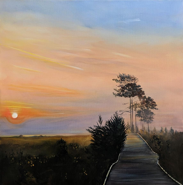 Morning light at Thursley 