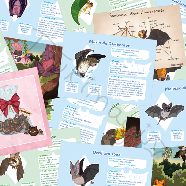 Pack de 3 prints - format A5