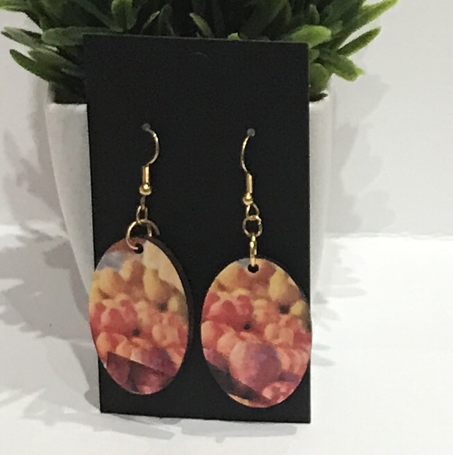 Wood Mix Coloured Dangling Earrings- MSDE68