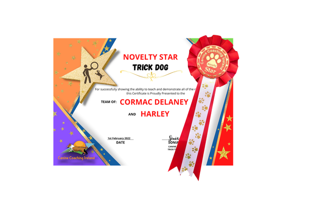 L1 Novelty -Cert &amp; Rosette