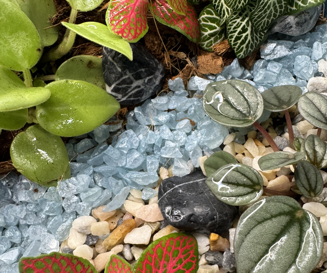 10th December Terrarium Workshop At Centivo Lounge Ashby