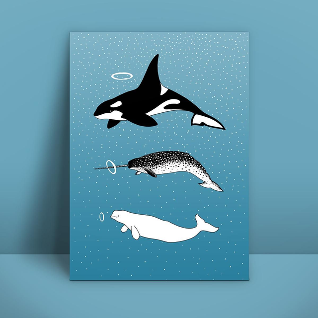 Dolphins