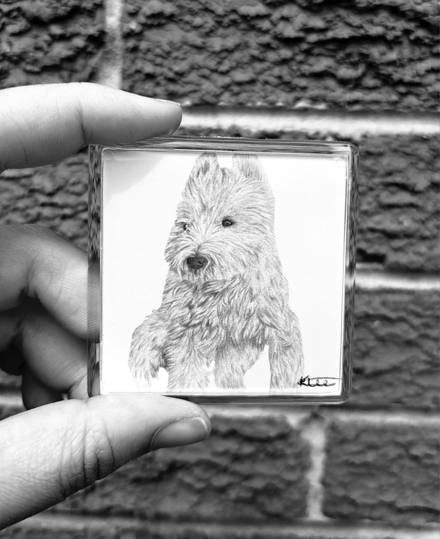 Westie Magnet