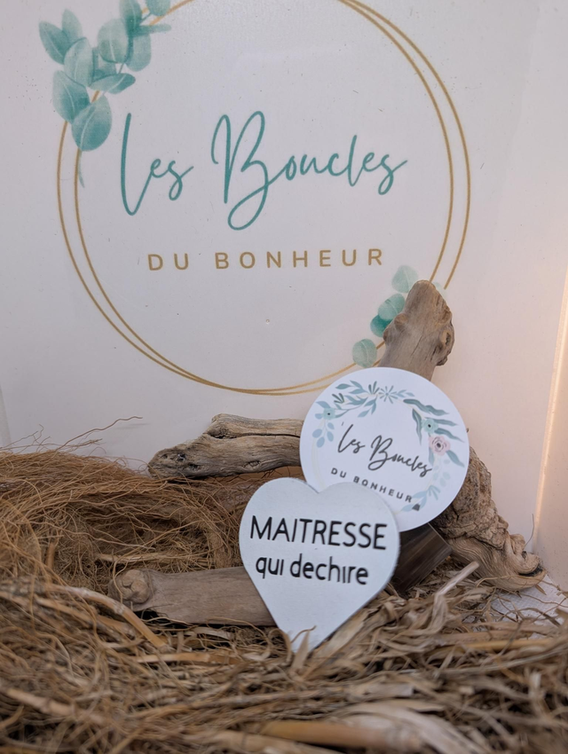 Broche personnalisée Maîtresse qui déchire (blanc) br040