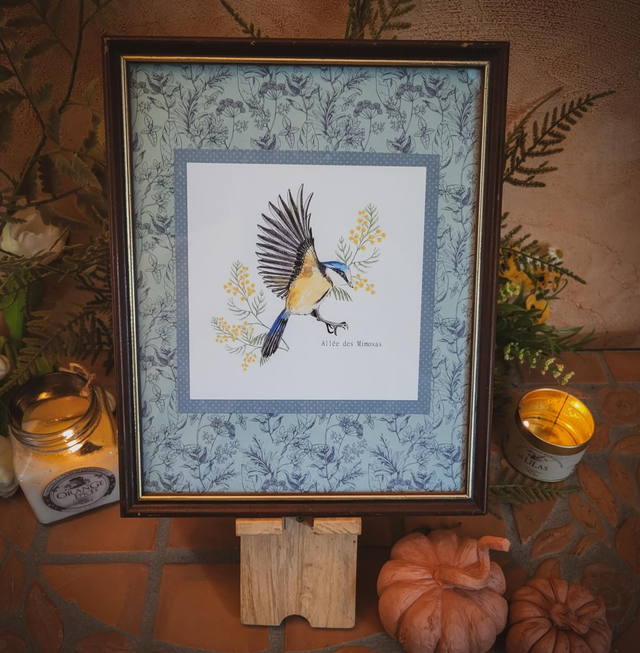 Moyen cadre - "Mésange bleue au mimosa"