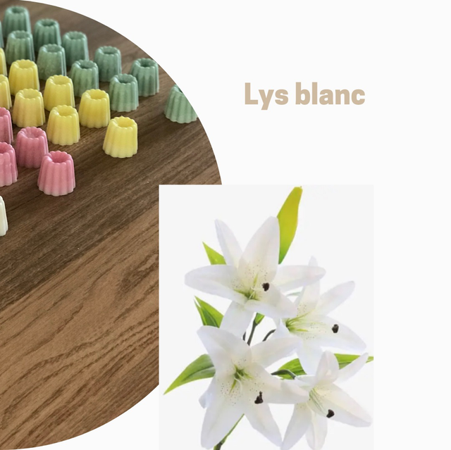 Lys blanc