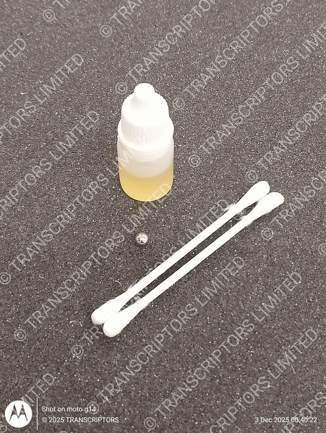 Main Bearing Service Kit