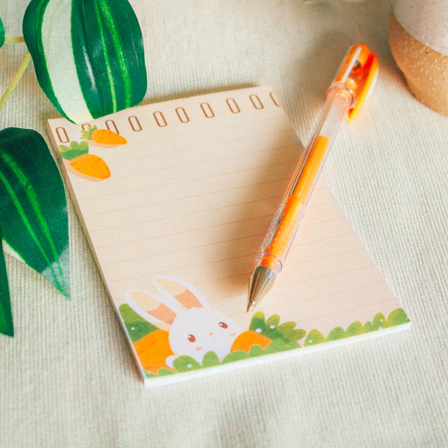 10 -  Bloc Notes Lapin (25 pages) 