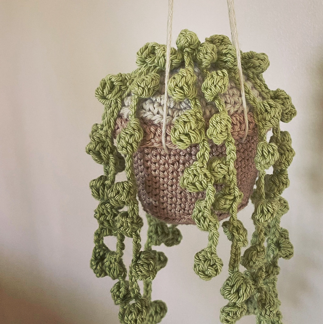 String of Pearls crochet plant 