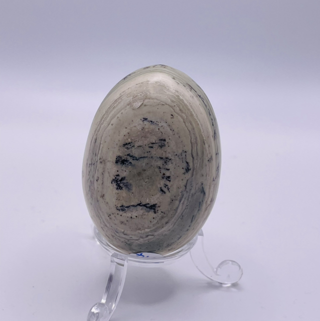 Dendrite Jasper Egg
