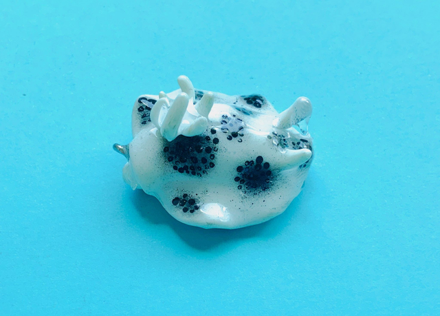 Queso "Peltodoris atromaculata"