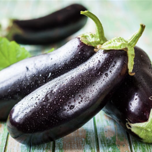 Aubergine