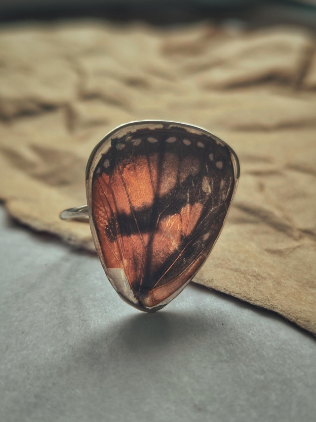 Butterfly Wing Ring