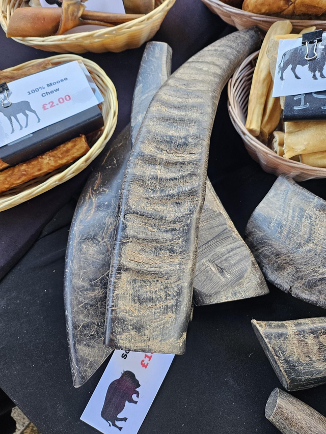 Buffalo Horn  extra Large ( solid)