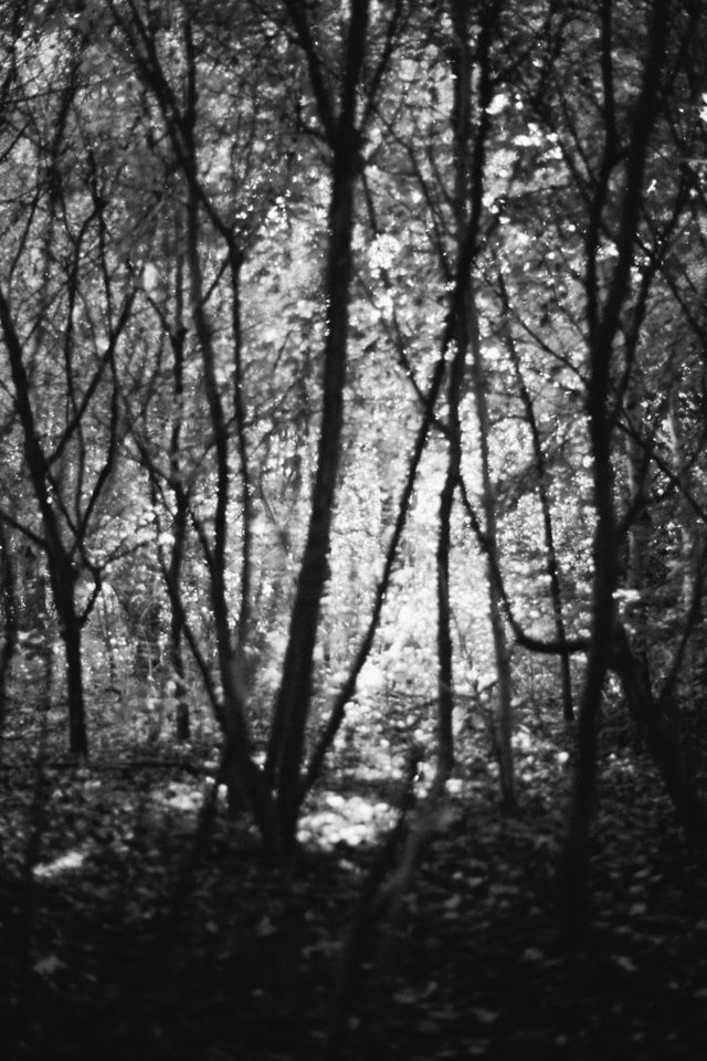 Where silence becomes sound