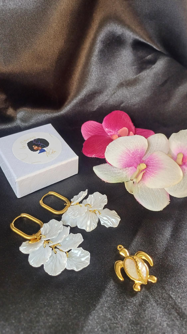 Interchangeables Tortue nacrée 