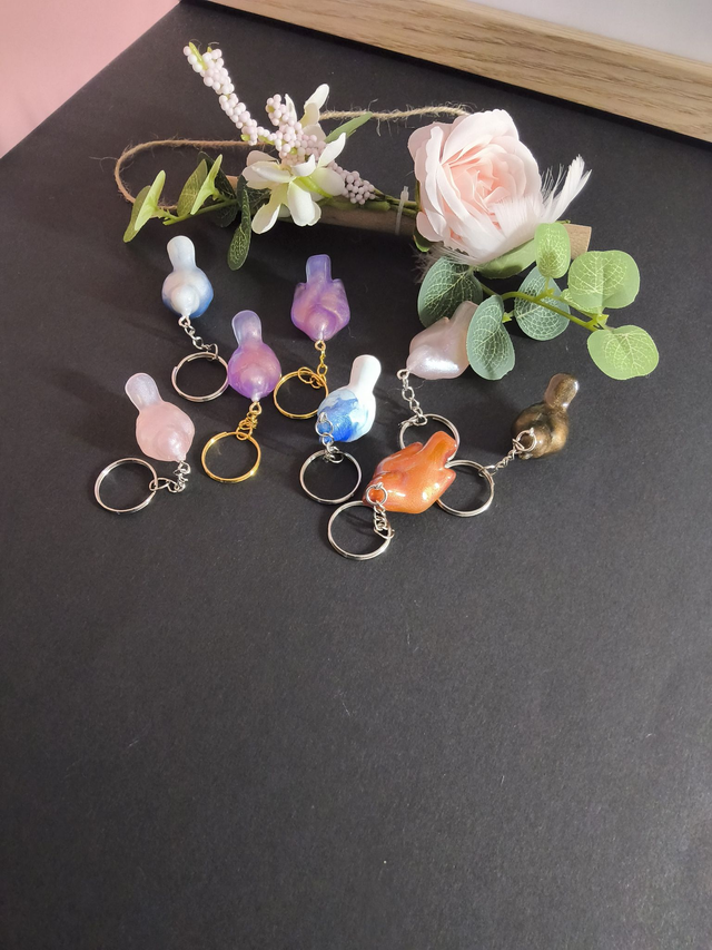 Portes clés oiseaux divers colories