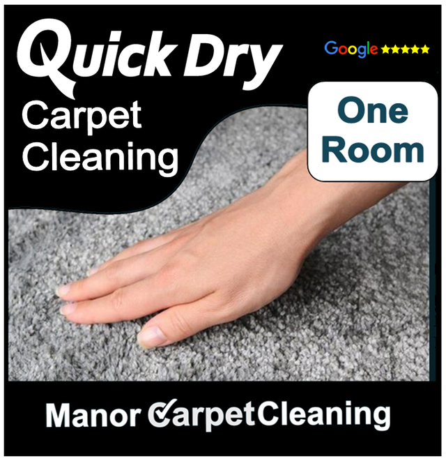1 Room Carpet Cleaning