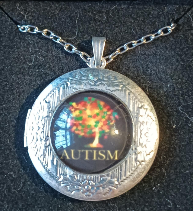 Tibetan Silver Autism Locket Necklace In Gift Box.