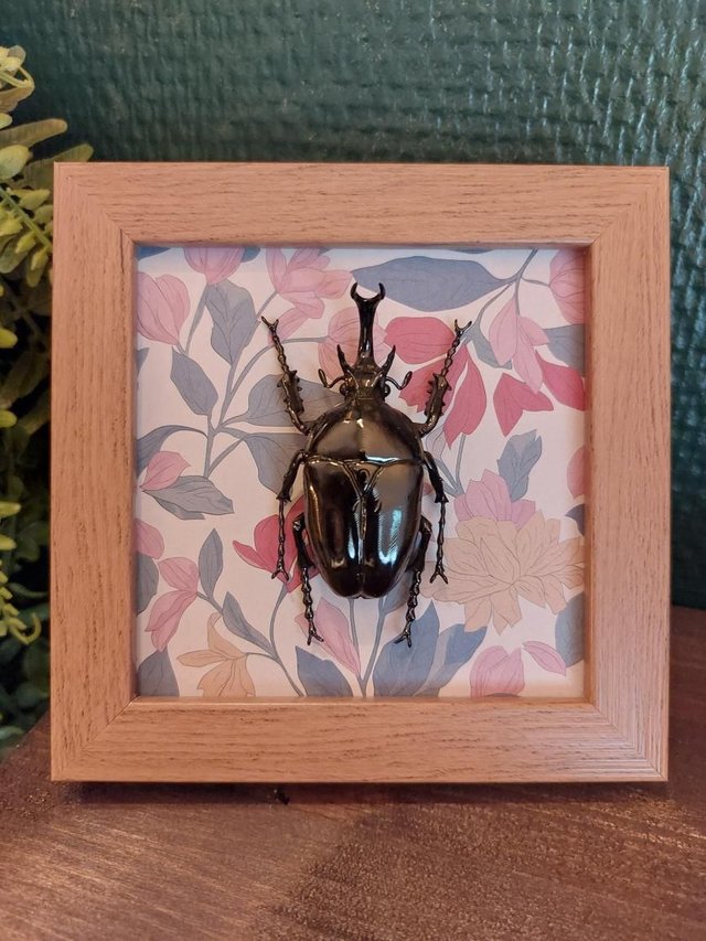 Cadre fleurit avec un scarabée