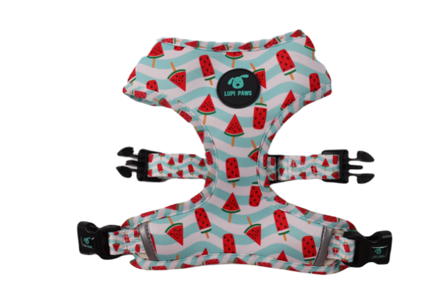 Watermelon Reversible Harness (Lupi Paws)