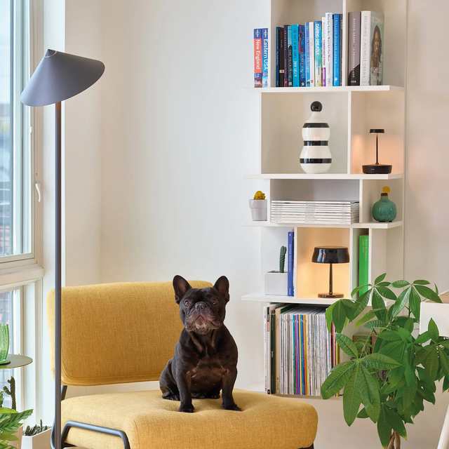 Zafferano Pina XXL Lampadaire