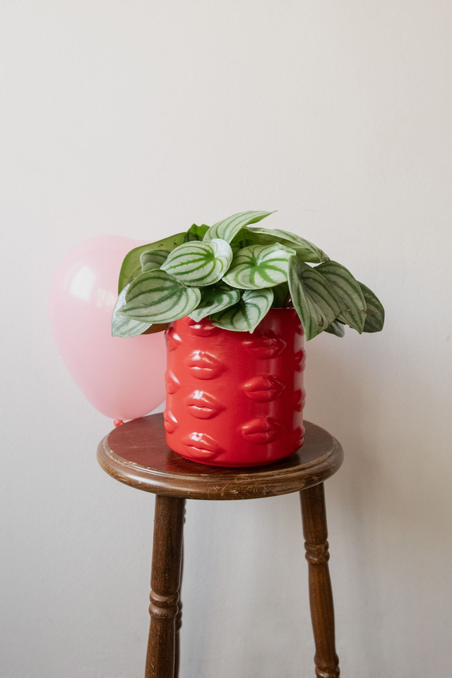 Babe planter 💋 Cache pot