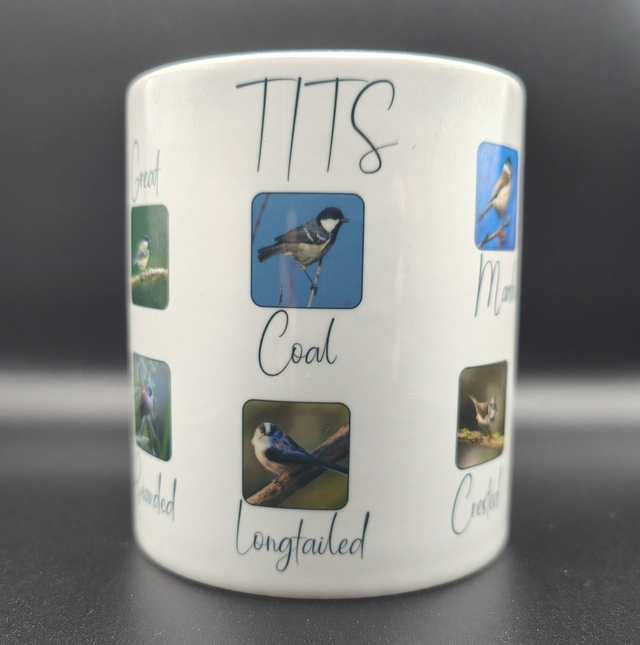 Ornithology Mug