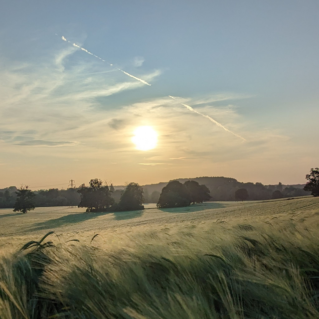 &#039;Fields of green&#039;