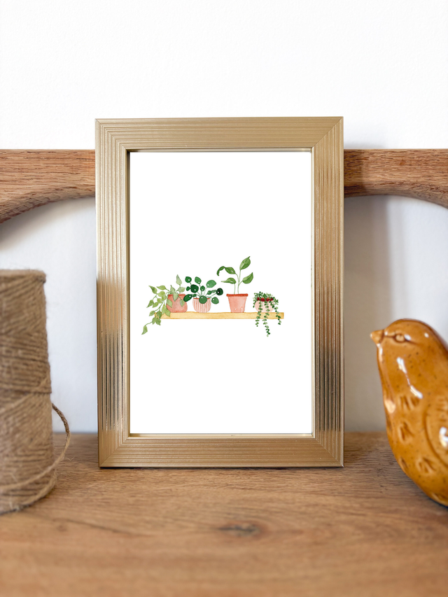 Illustration Petites plantes