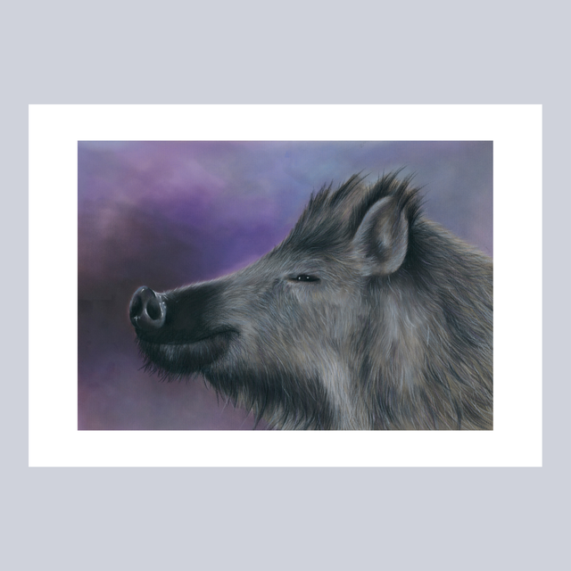 Reproductions - Sanglier N°1